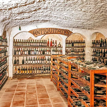 Livia Ischia