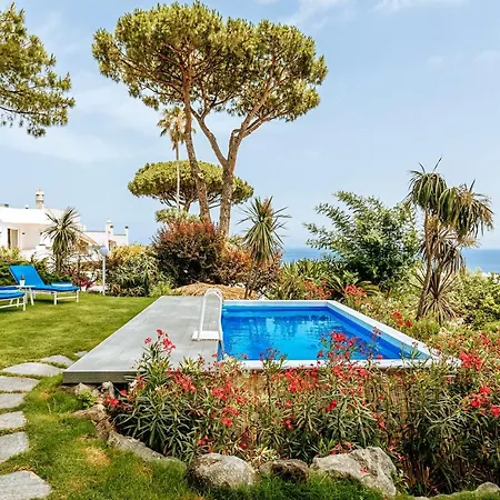 Livia Guest house *
